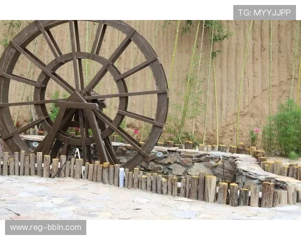 bbin网站导航大全详细分类指南，涵盖体育、电子、真人等多种游戏类型