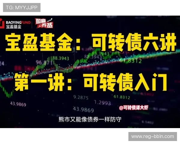 宝盈官方平台：如何安全便捷地进行基金交易与账户管理