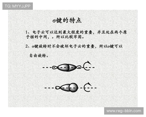 全面解析PP电子模拟器的功能特点及操作技巧提升游戏体验 全面解析PP电子模拟器的功能特点及操作技巧提升游戏体验